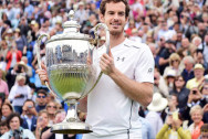 Andy-Murray-Queens-2016
