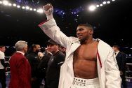 Anthony Joshua Boxing