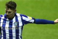 Liam Shaw Sheffield Wednesday