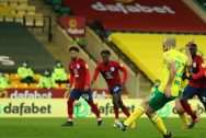Teemu Pukki Norwich City